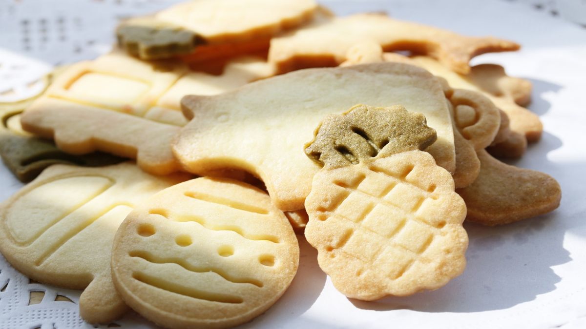 The Delicious Evolution of Biscuits