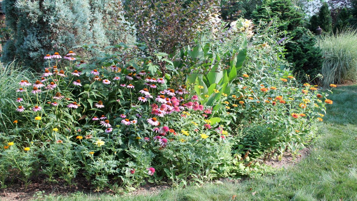 The Flower Fanatic's Handbook: How to Plant, Grow, and Maintain a Flourishing Flower Garden