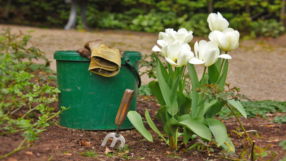 Gardening Tips for Spring: Cultivating a Flourishing Garden