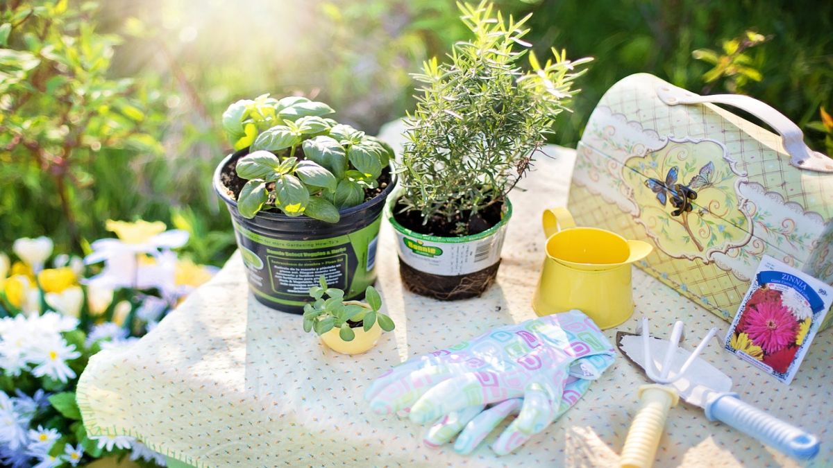 Effortless Summer Gardening Hacks for a Lush Landscape