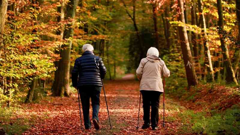 Fall hiking: why it's perfect for seniors to explore nature？